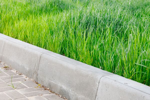 Concrete Curb Repair in Foley