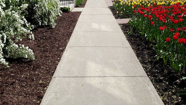 Concrete Pathway Repair in Foley